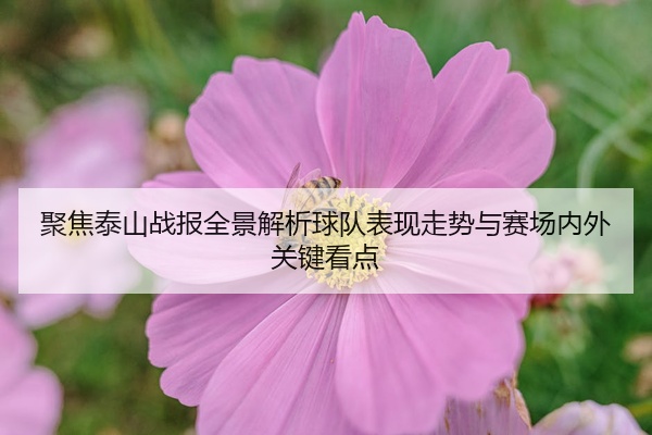 img_1777187336710_246_2_185.jpg